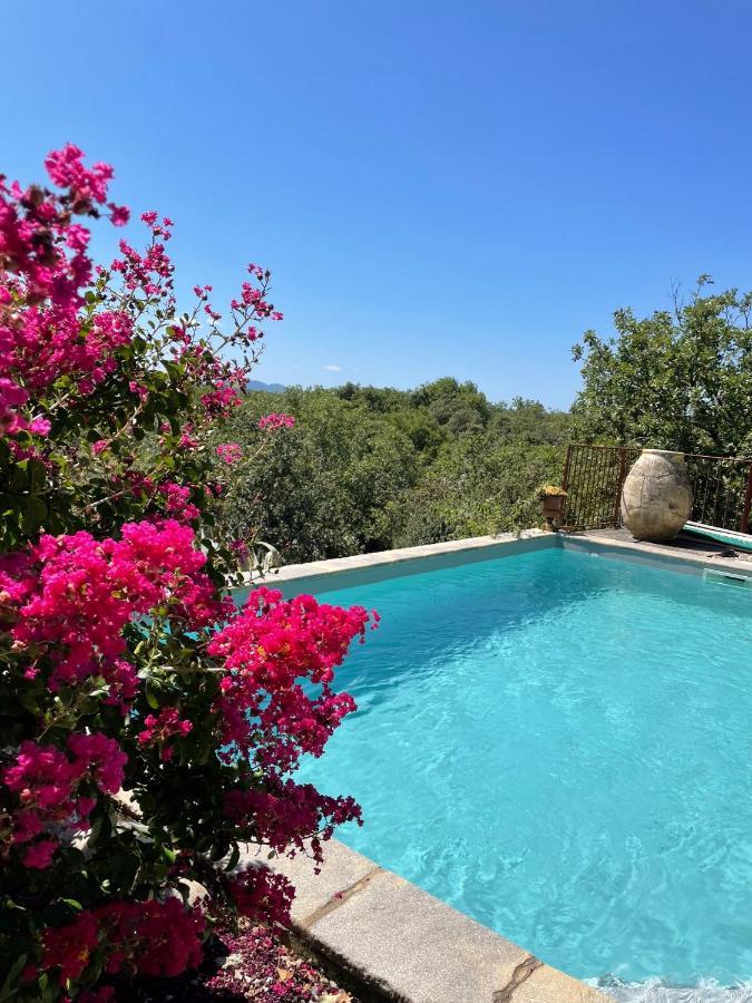 Le Petit Mas Bed and Breakfast Vogue Eksteriør billede