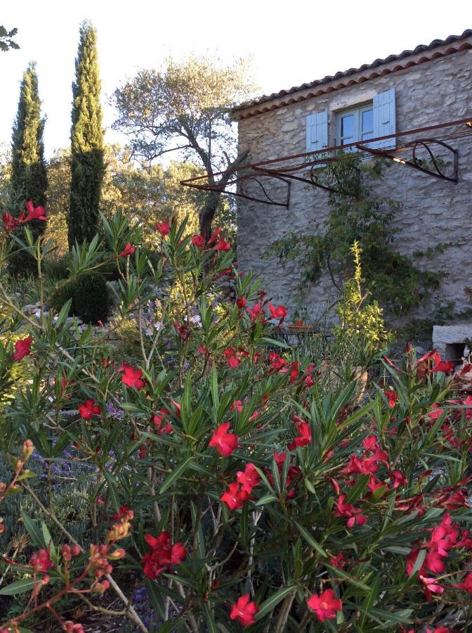 Le Petit Mas Bed and Breakfast Vogue Eksteriør billede