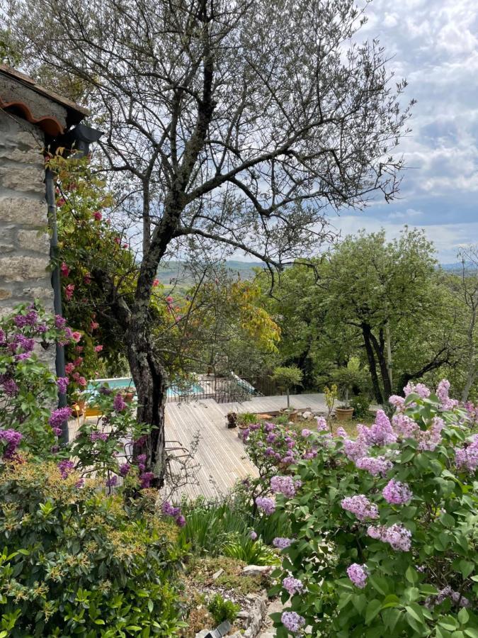 Le Petit Mas Bed and Breakfast Vogue Eksteriør billede